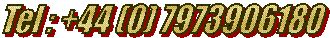 20/20